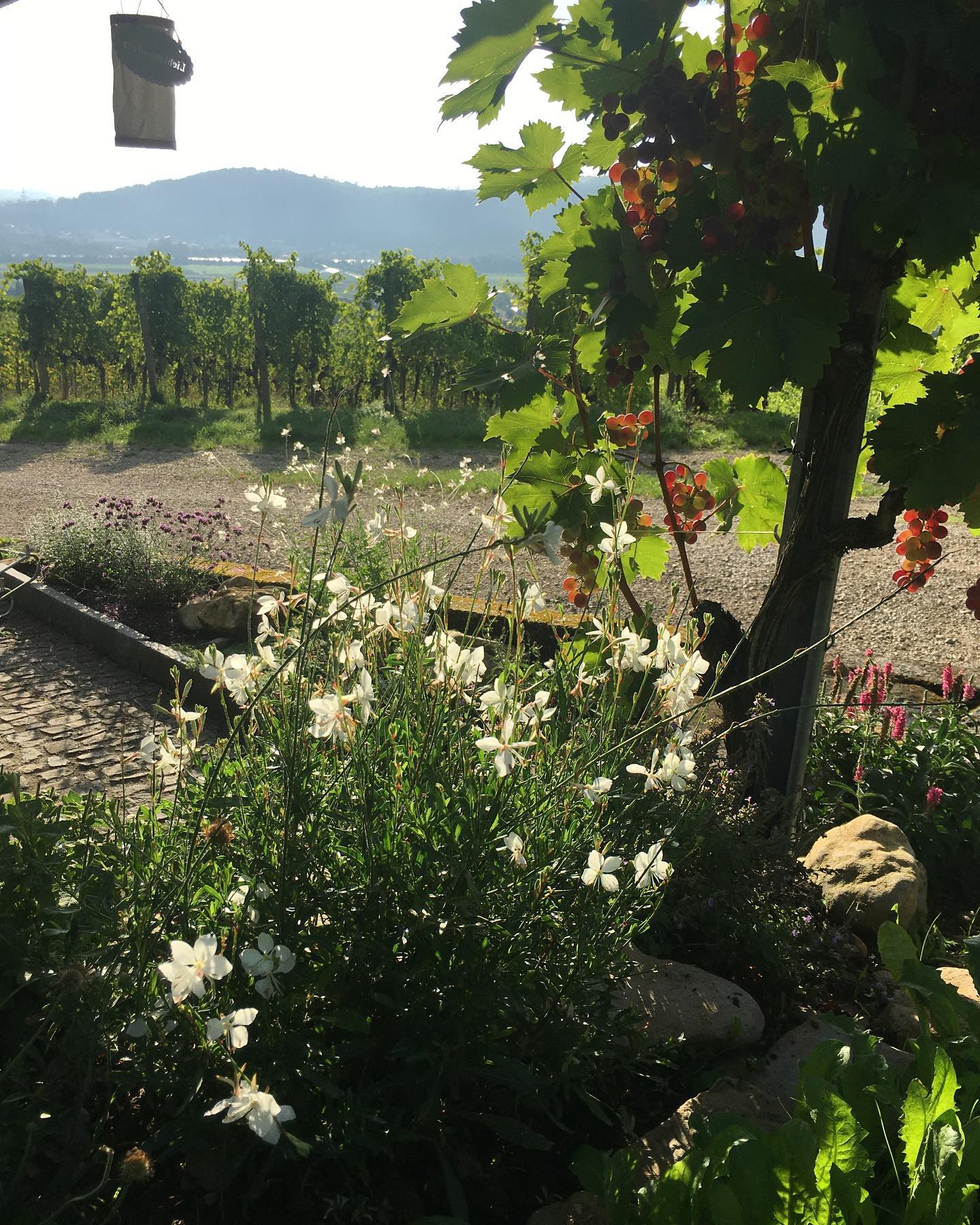 Lieblingsplatz Blumen